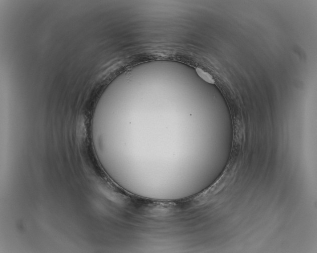 X0000111170128200907221036