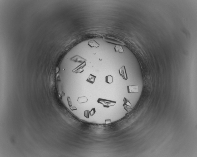 X0000111170131200907221036