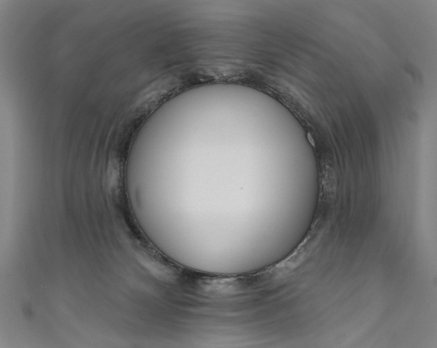 X0000111170132200907221036