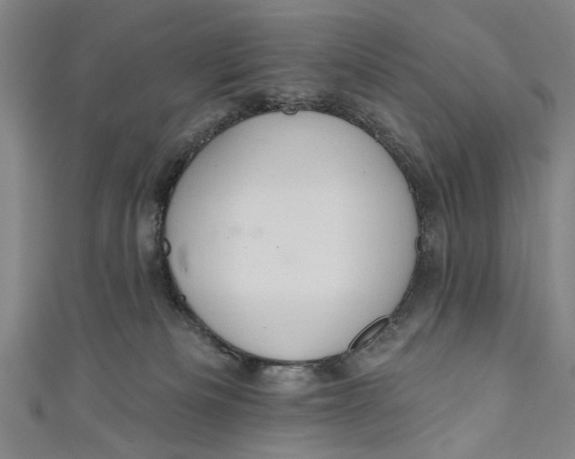 X0000111170133200907221036