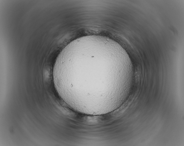 X0000111170134200907221036