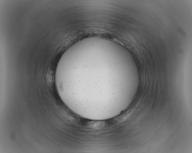 X0000111170135200907221036