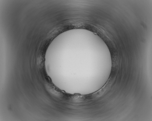 X0000111170136200907221036