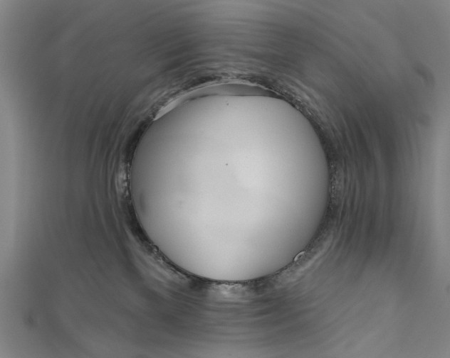 X0000111170137200907221036