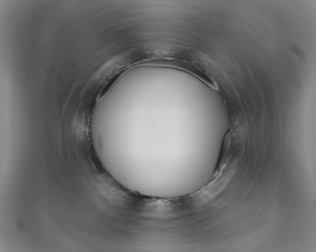 X0000111170140200907221036