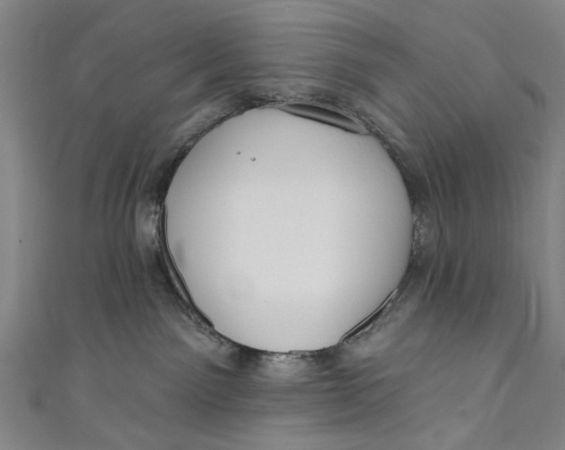 X0000111170141200907221036