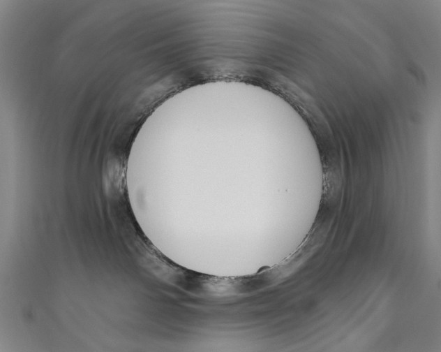 X0000111170142200907221036