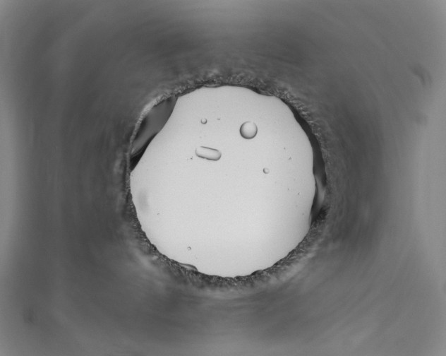 X0000111170144200907221035