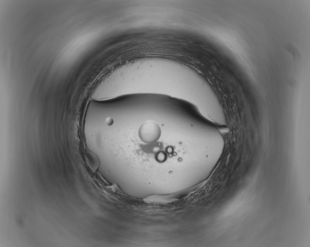 X0000111170146200907221035