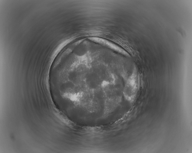 X0000111170147200907221035