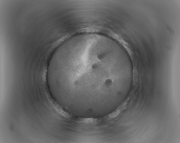 X0000111170153200907221035