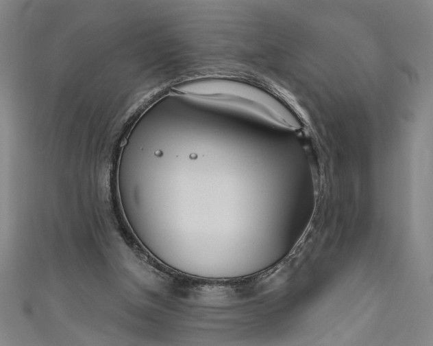 X0000111170154200907221035