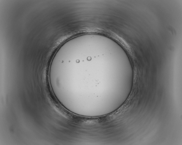 X0000111170155200907221035