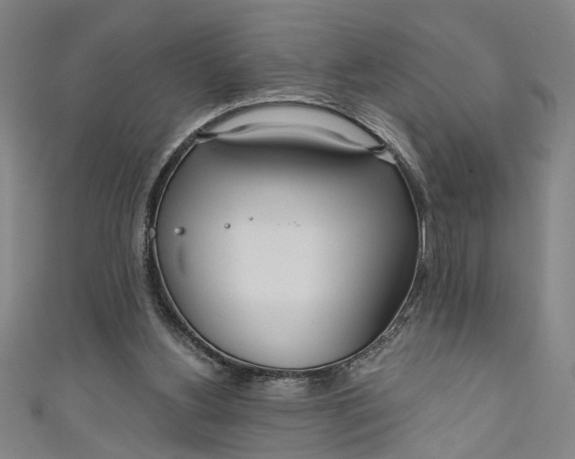 X0000111170156200907221035