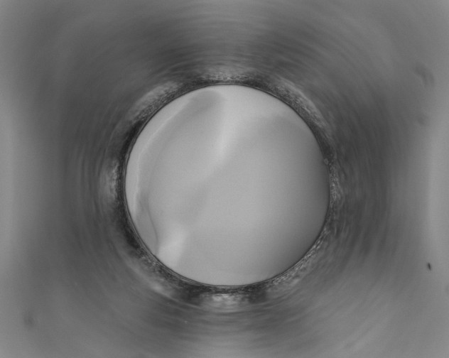 X0000111170163200907221035