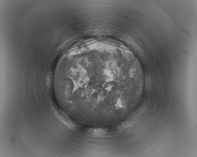 X0000111170165200907221035