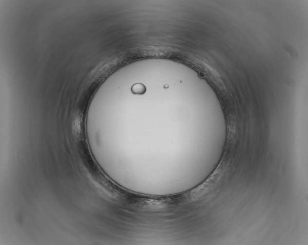 X0000111170166200907221035