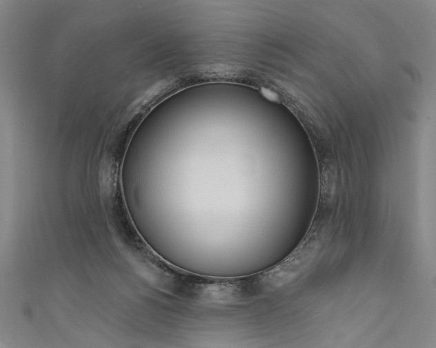 X0000111170168200907221035