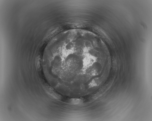 X0000111170169200907221035