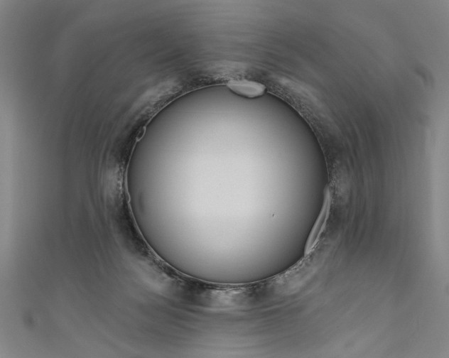 X0000111170172200907221035