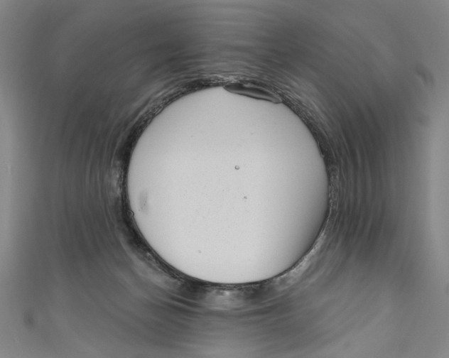 X0000111170174200907221035