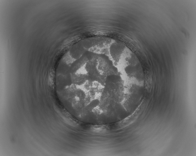 X0000111170175200907221035