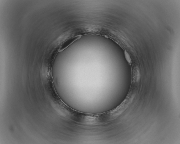 X0000111170176200907221035