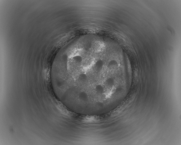 X0000111170177200907221035