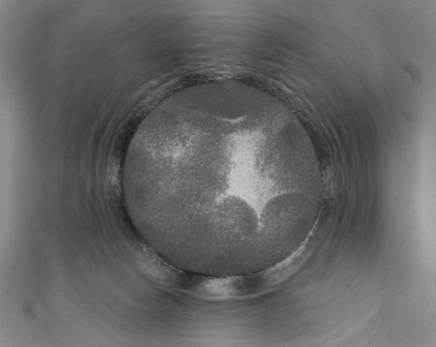 X0000111170178200907221035