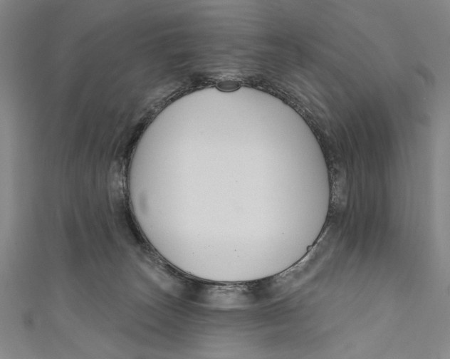 X0000111170179200907221035