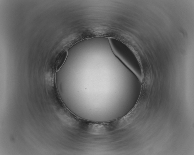 X0000111170180200907221035