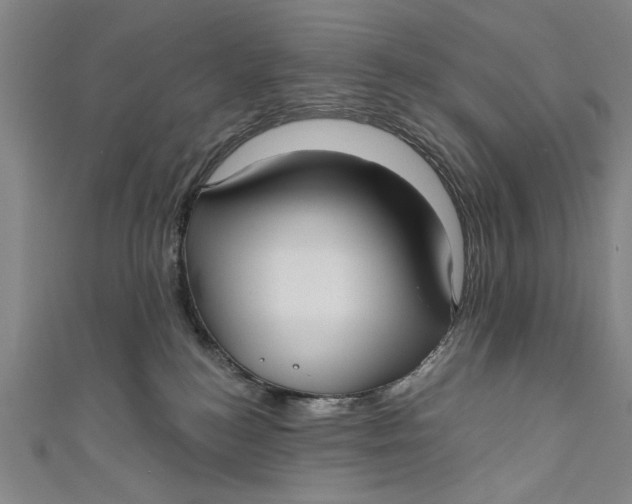 X0000111170184200907221035