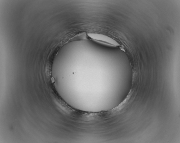 X0000111170186200907221035