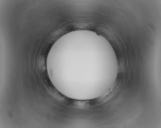 X0000111170187200907221035