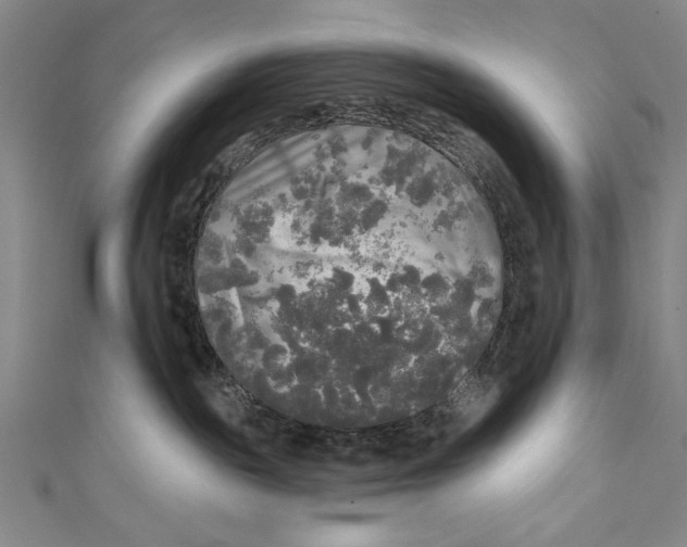 X0000111170189200907221035