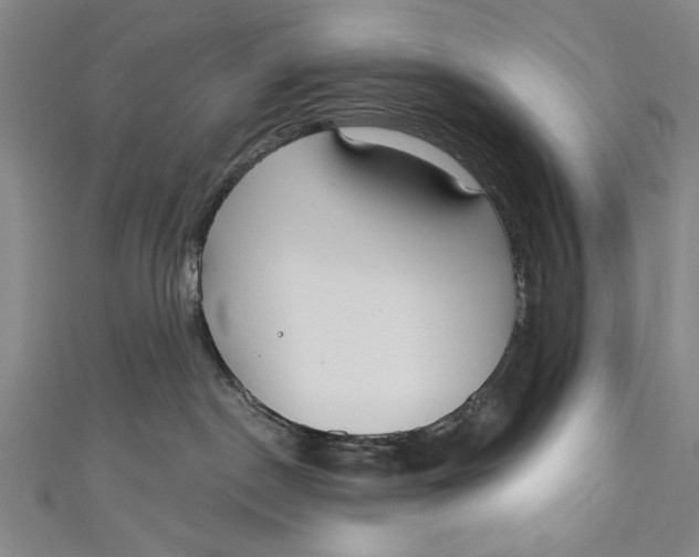 X0000111170190200907221035