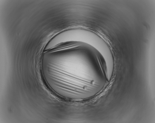 X0000111170193200907221035