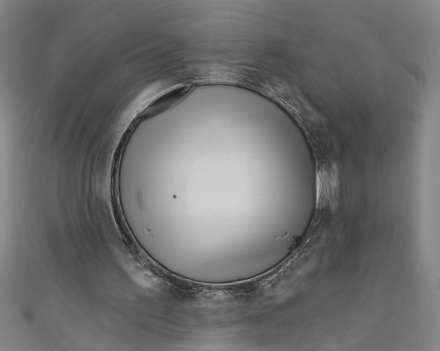 X0000111170195200907221035