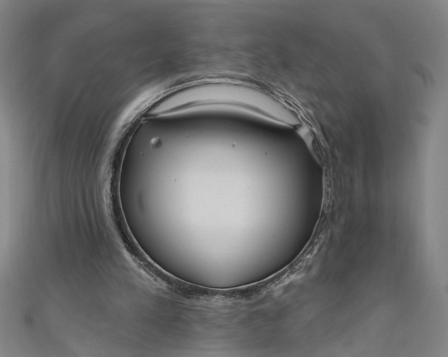 X0000111170197200907221035