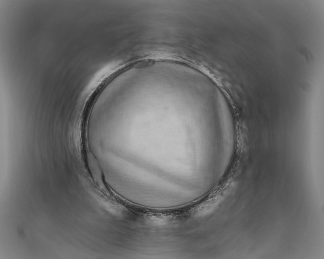 X0000111170199200907221035