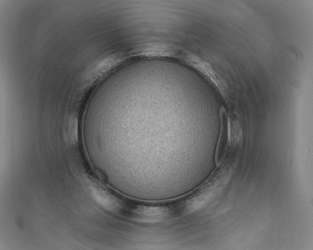 X0000111170205200907221035