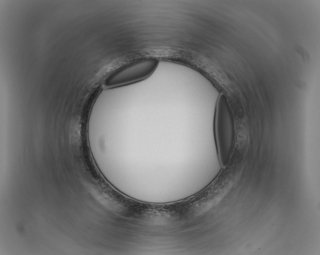 X0000111170207200907221035