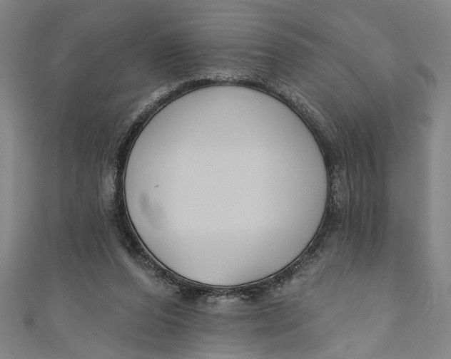 X0000111170208200907221035