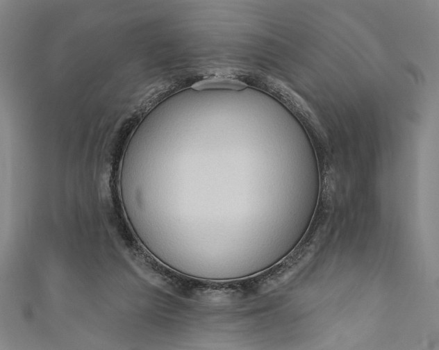 X0000111170209200907221035