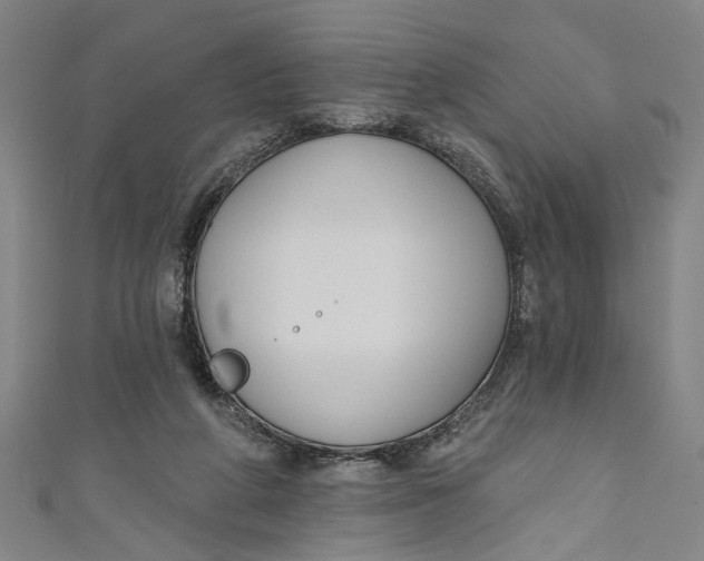 X0000111170210200907221035