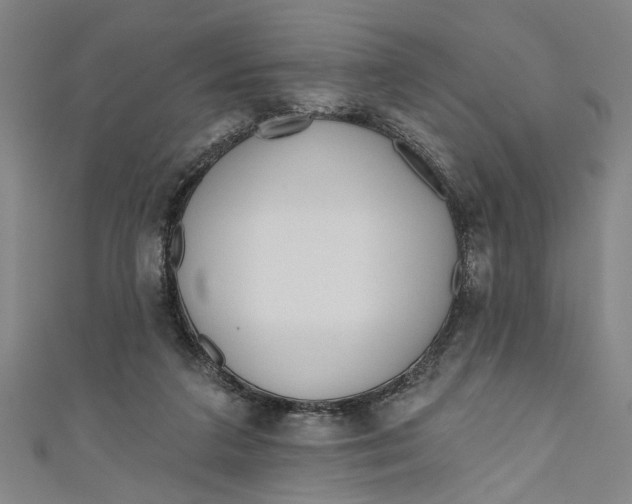 X0000111170211200907221035