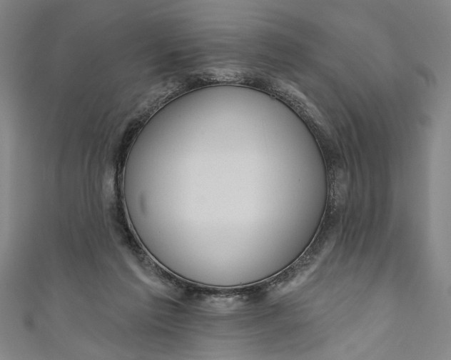 X0000111170213200907221035