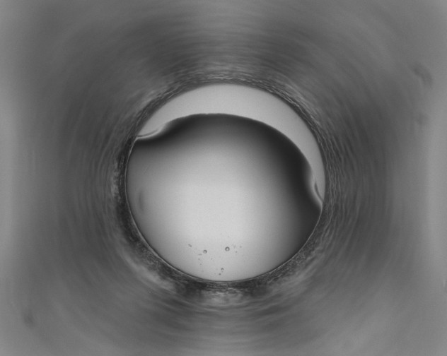 X0000111170215200907221035