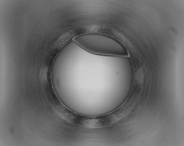 X0000111170217200907221035