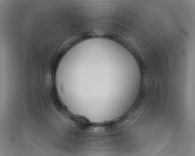 X0000111170220200907221035